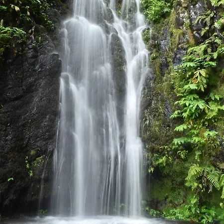 Fontinha Terrace View House *