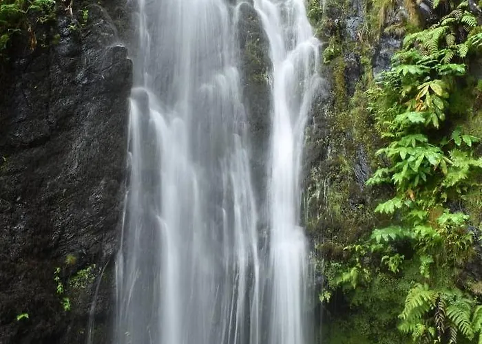 Fontinha Terrace View House *